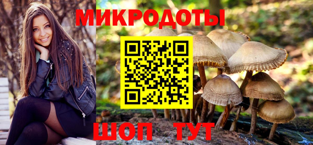 Псилоцибиновые грибы Cubensis Ливны